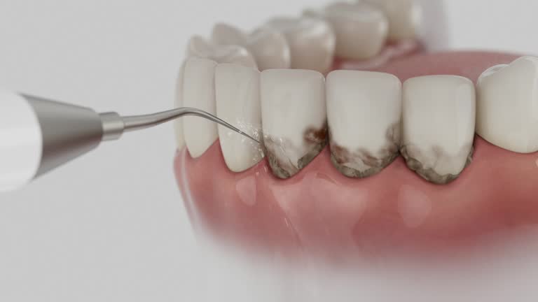Reliable Dental contractor in Ackerman, MS by Dentist Open Now